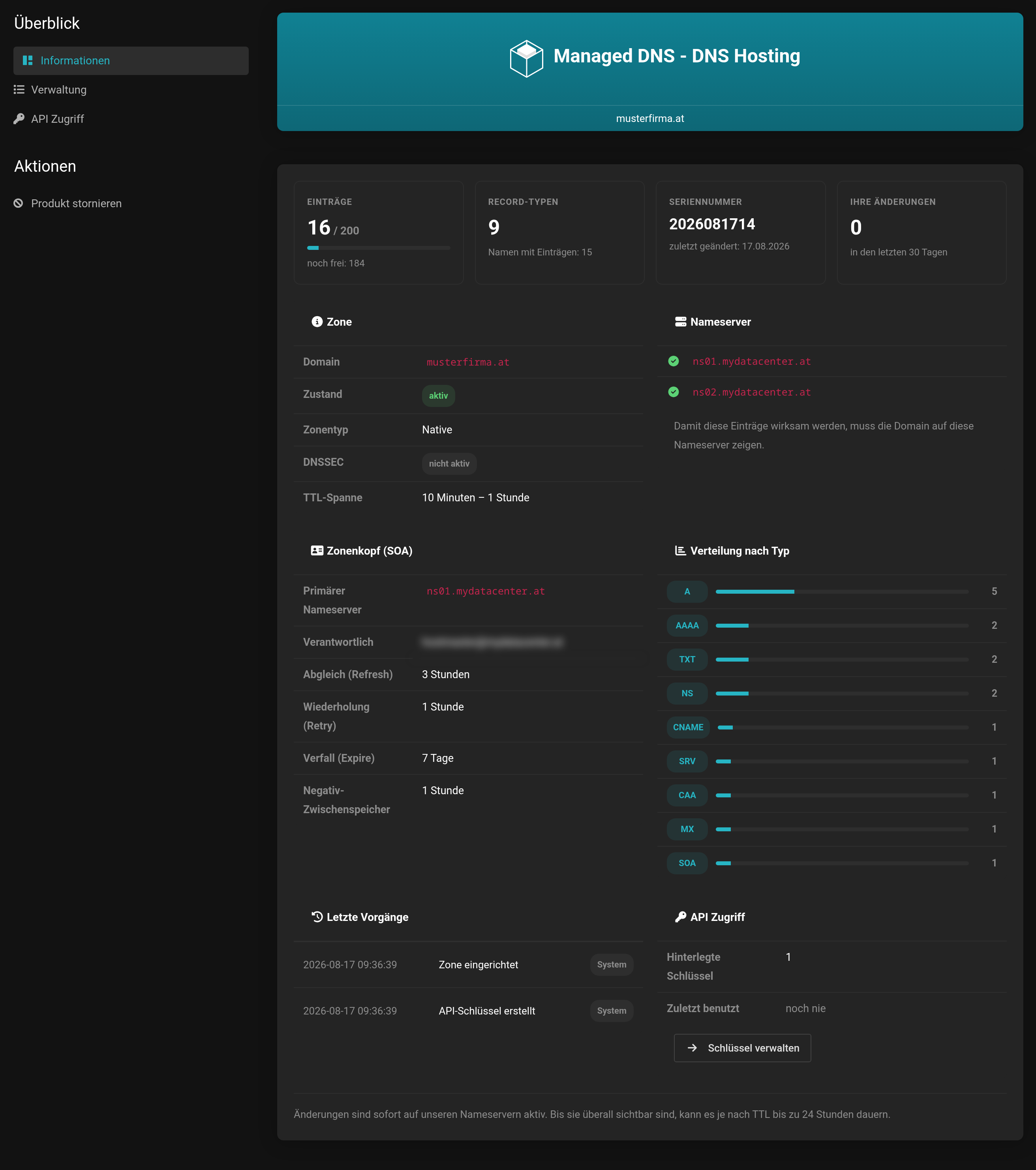 Produktseite der DNS-Verwaltung mit der Navigation Informationen, Verwaltung und API Zugriff auf der linken Seite