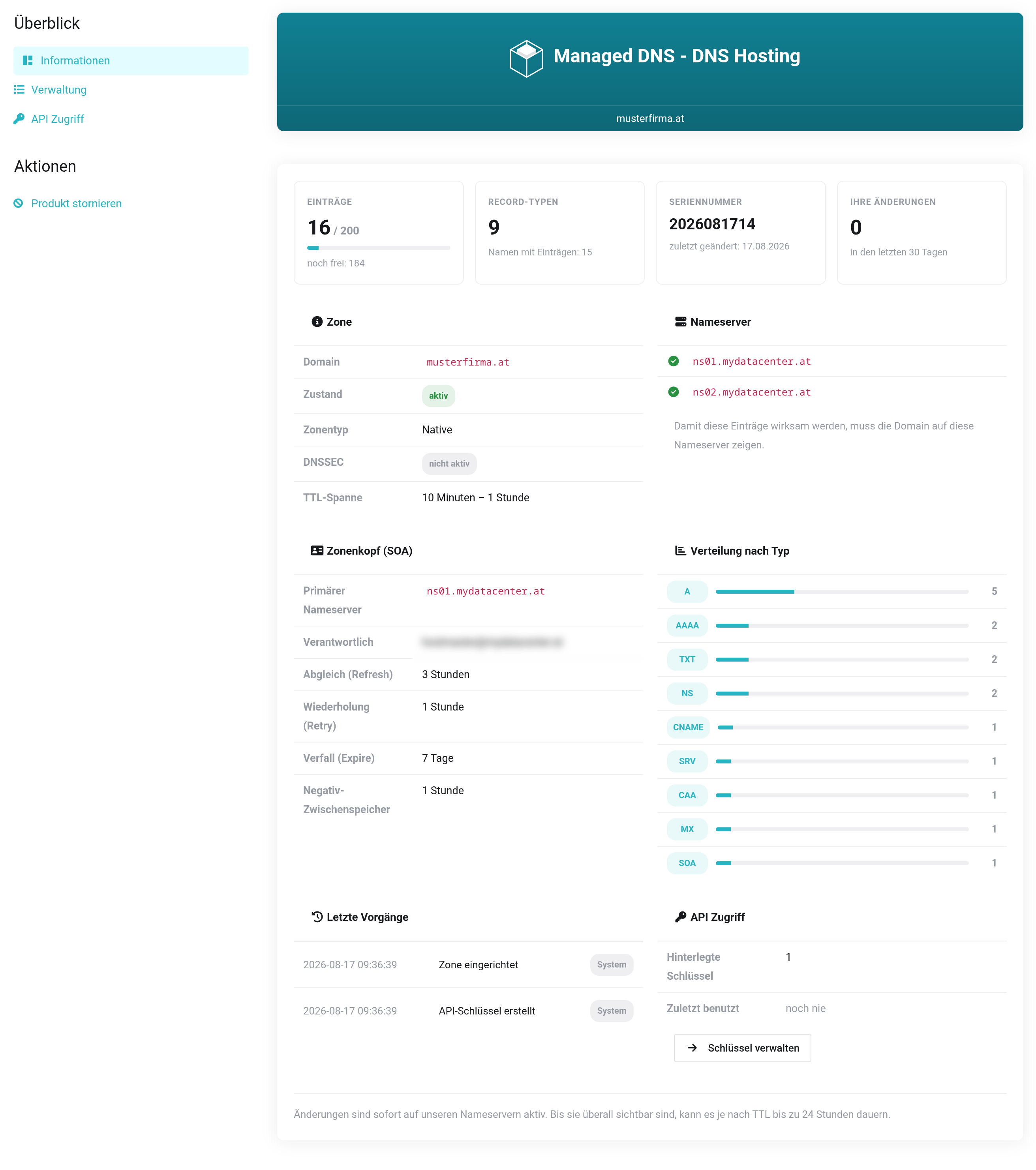 Produktseite der DNS-Verwaltung mit der Navigation Informationen, Verwaltung und API Zugriff auf der linken Seite