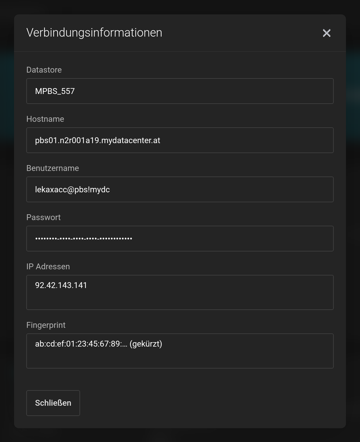 Dialog Verbindungsinformationen mit den Feldern Datastore, Hostname, Benutzername, Passwort, IP Adressen und Fingerprint