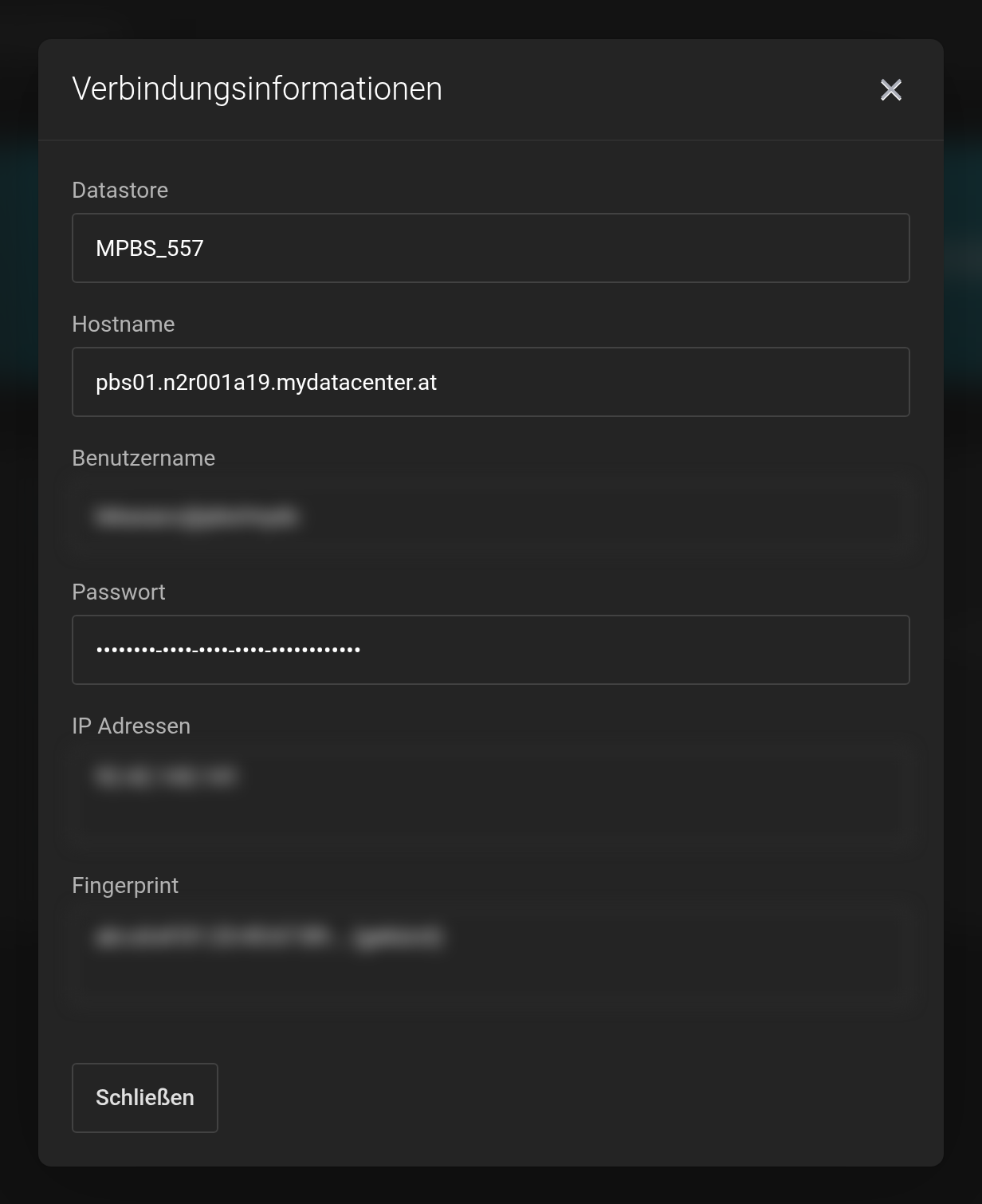 Dialog Verbindungsinformationen mit den Feldern Datastore, Hostname, Benutzername, Passwort, IP Adressen und Fingerprint