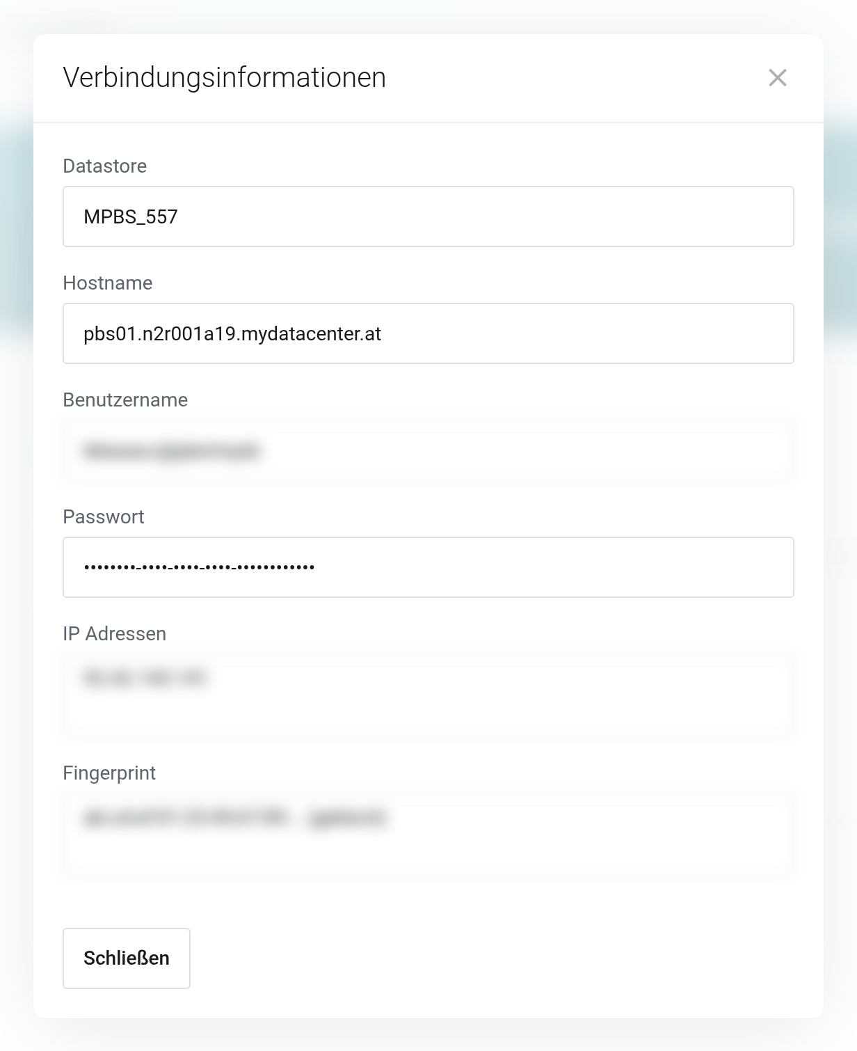 Dialog Verbindungsinformationen mit den Feldern Datastore, Hostname, Benutzername, Passwort, IP Adressen und Fingerprint