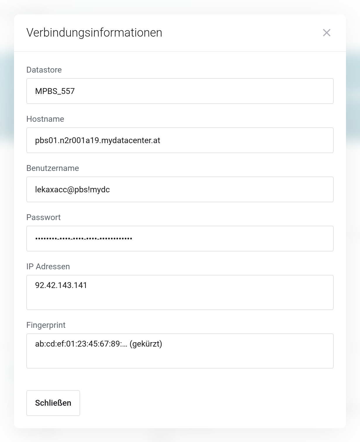 Dialog Verbindungsinformationen mit den Feldern Datastore, Hostname, Benutzername, Passwort, IP Adressen und Fingerprint